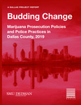 Budding Change by Pamela R. Metzger, Victoria Smiegocki, and Kristin Meeks